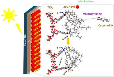Preliminary Investigation on Vacancy Filling by Small Molecules on the Performance of Dye-Sensitized Solar Cells: The Case of a Type-II Absorber
